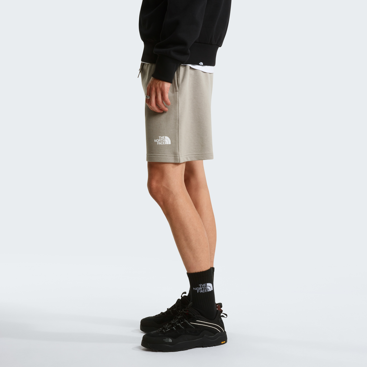 tnf_asset:NF0A8GQB2MB-ALT2