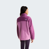 tnf_asset:NF0A8J61K22-ALT3