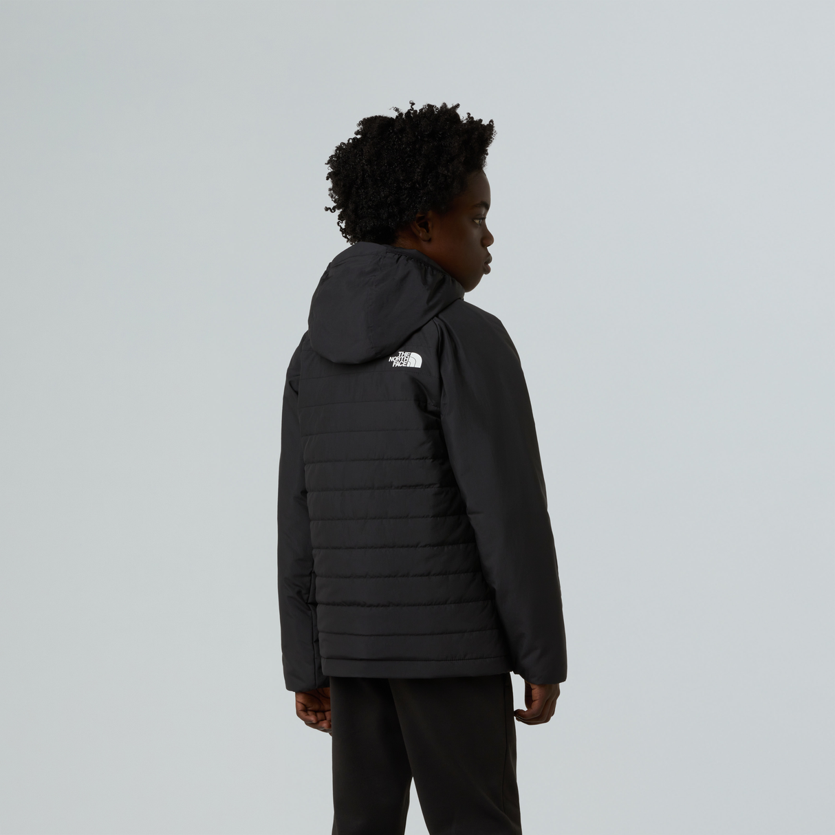 tnf_asset:NF0A89HRJK3-ALT2