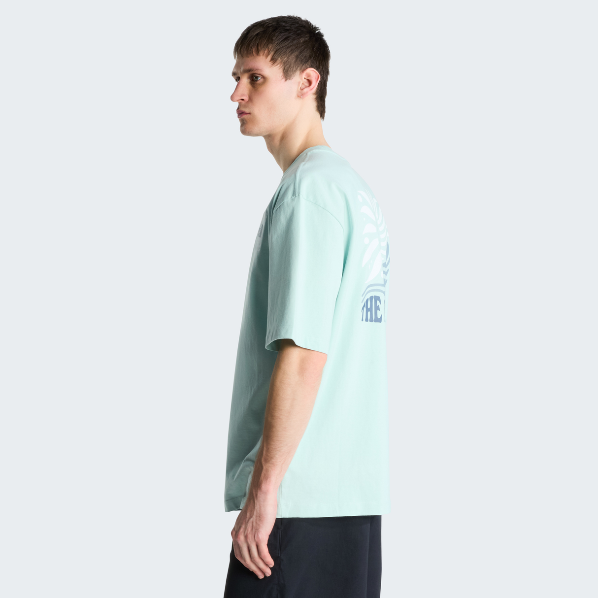 tnf_asset:NF0A8GA0G70-ALT3