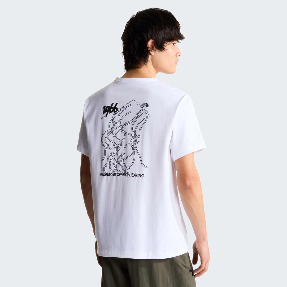 tnf_asset:NF0A8JA8FN4-ALT2