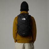 tnf_asset:NF0A3VXG4H0-ALT1