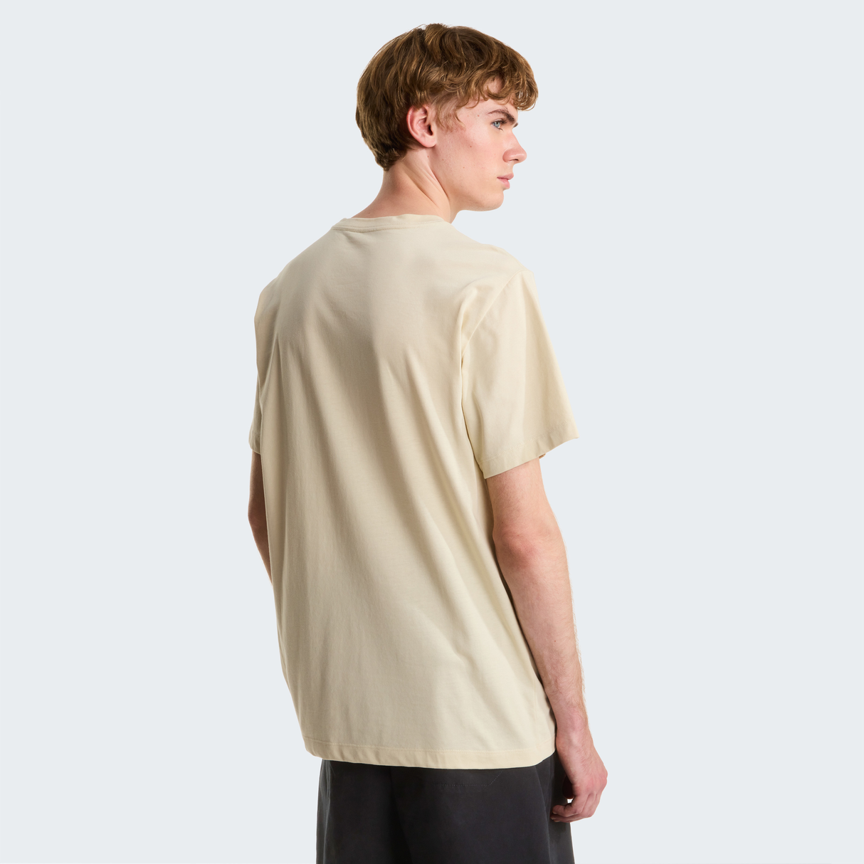 tnf_asset:NF0A8CZ2DOM-ALT3