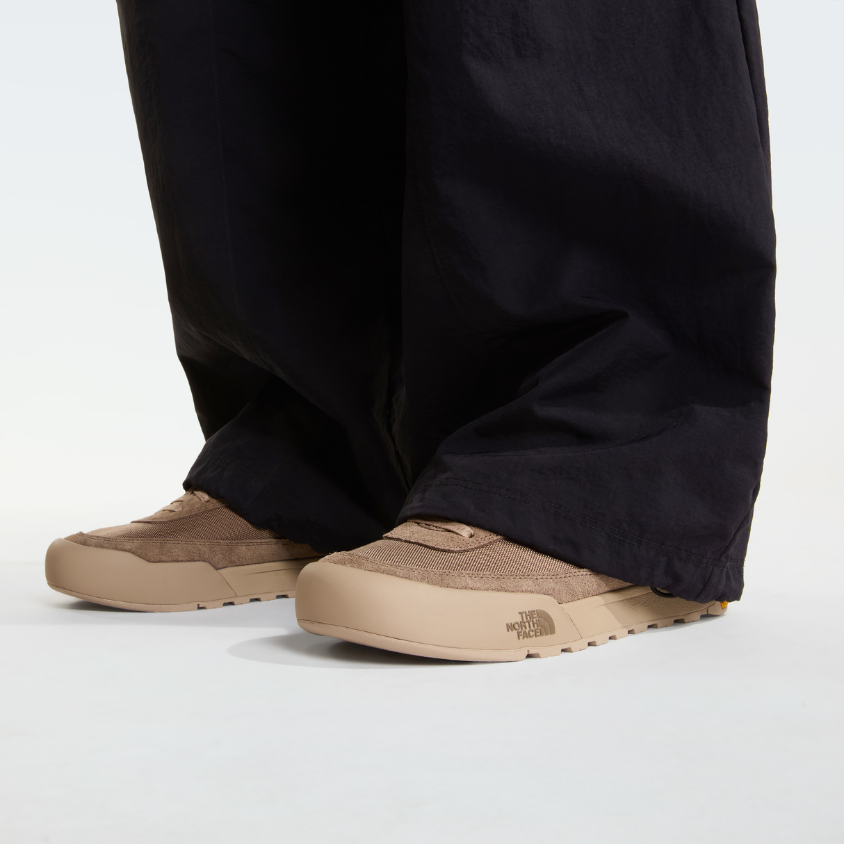 tnf_asset:NF0A8AD9S45-ALT2