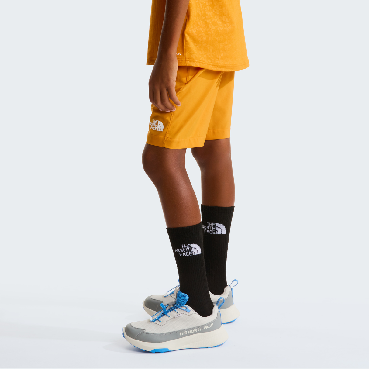 tnf_asset:NF0A8FZ0G5I-ALT2