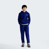 tnf_asset:NF0A8CVDNLV-ALT1