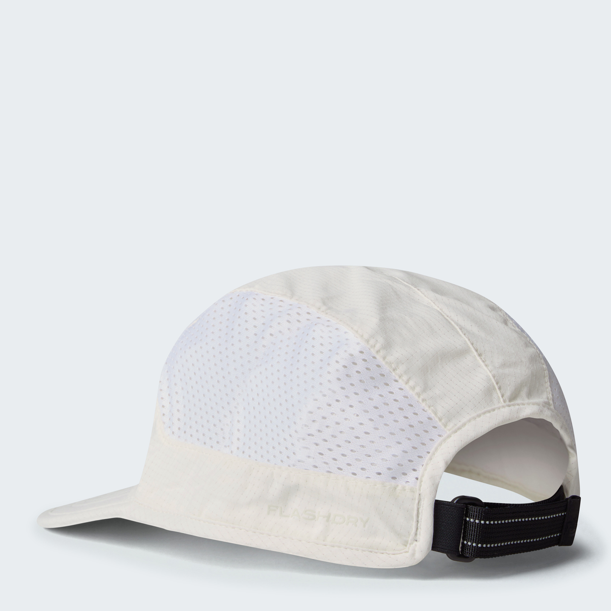 tnf_asset:NF0A876JQLI-ALT2