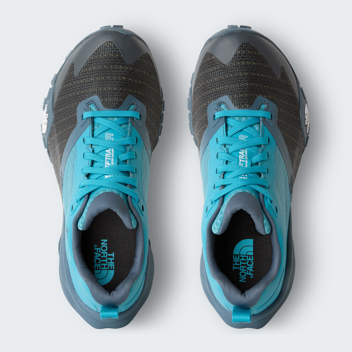 tnf_asset:NF0A8A9YMN2-ALT1