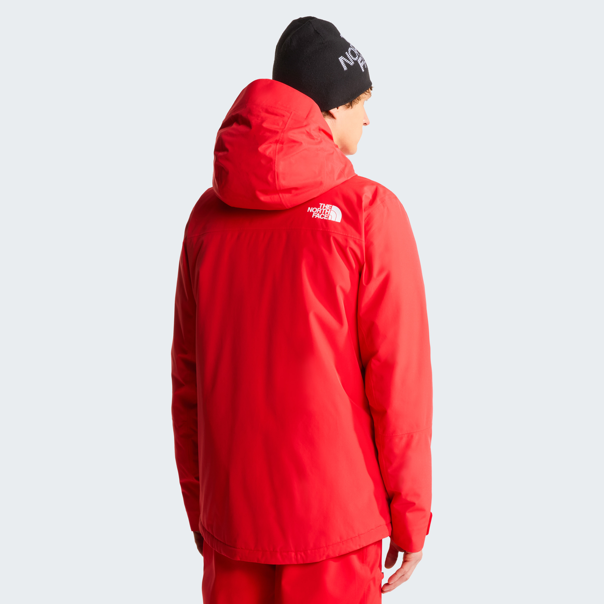 tnf_asset:NF0A87Y9BON-ALT3