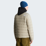 tnf_asset:NF0A8H0M2MB-ALT3