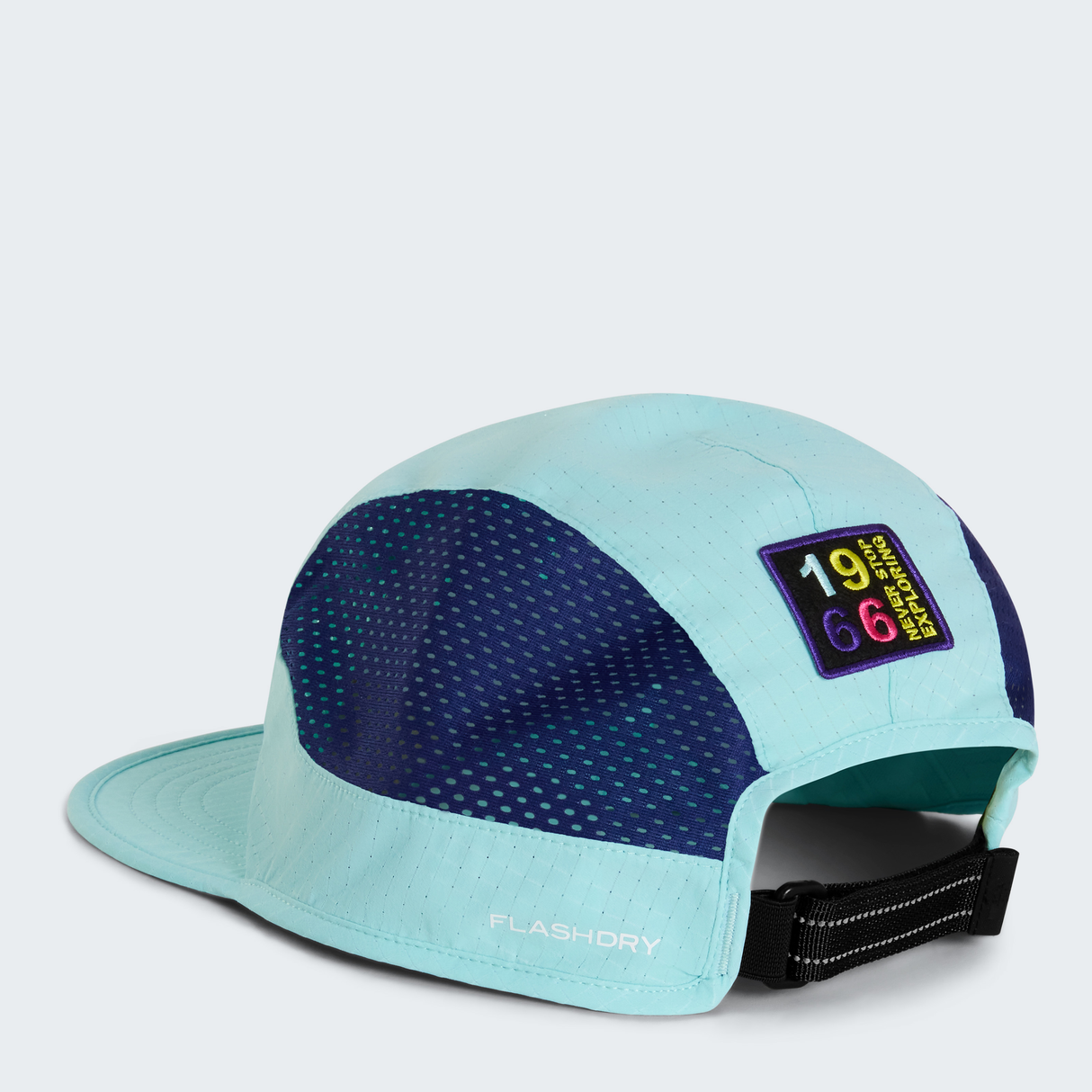 tnf_asset:NF0A876J8EB-ALT2