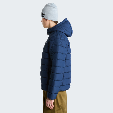 tnf_asset:NF0A8H0K8K2-ALT2