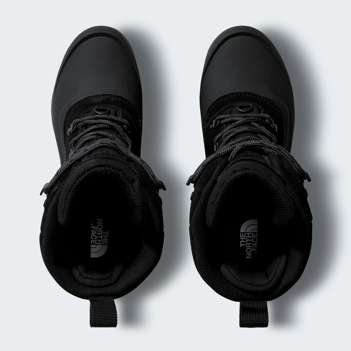 tnf_asset:NF0A5LW3KT0-ALT1
