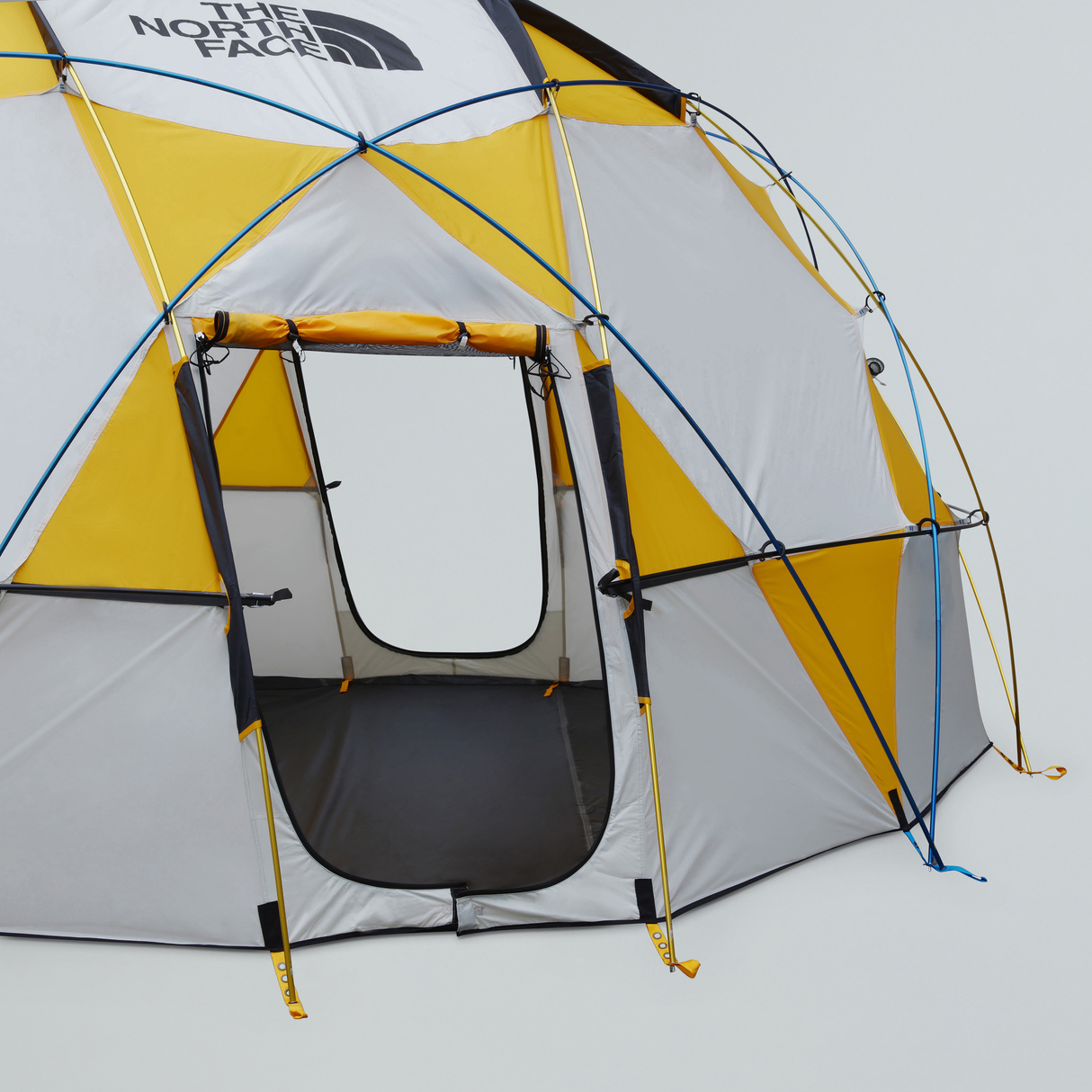 tnf_asset:NF0A8AV0ZU3-ALT1