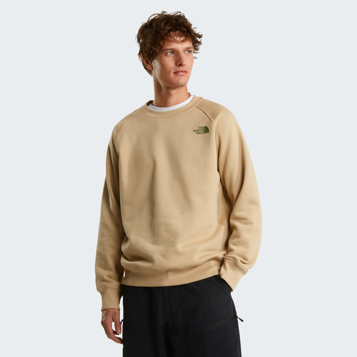 tnf_asset:NF0A89FALK5-ALT2