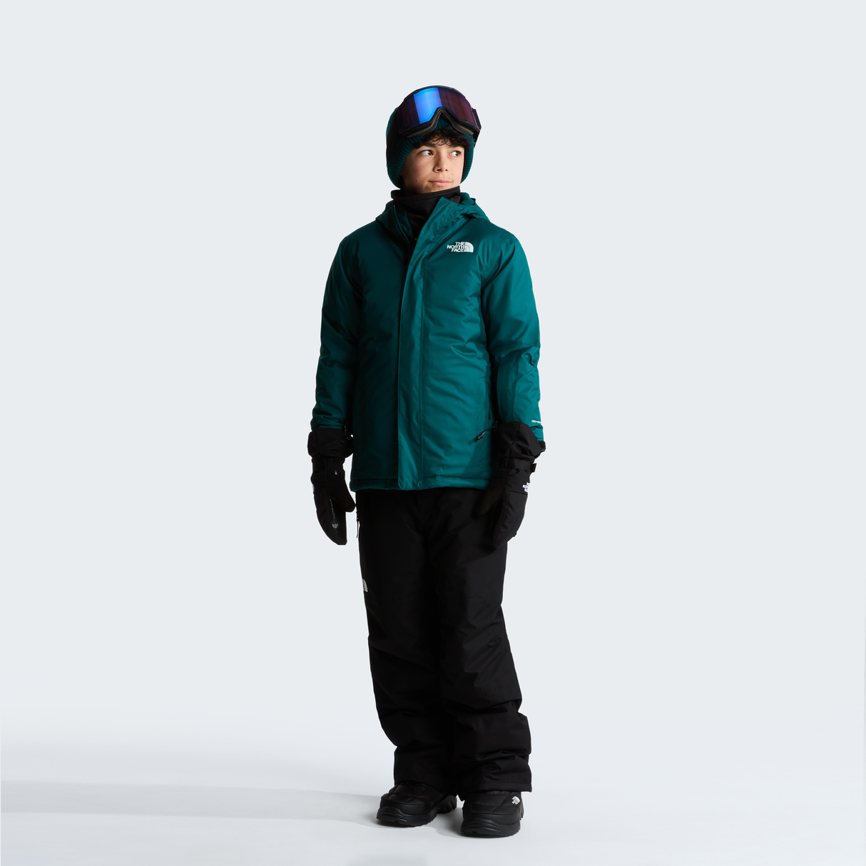 tnf_asset:NF0A8EJQN4J-ALT1