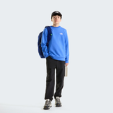 tnf_asset:NF0A8ESMNLQ-ALT1