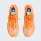 tnf_asset:NF0A8G53TTS-ALT1