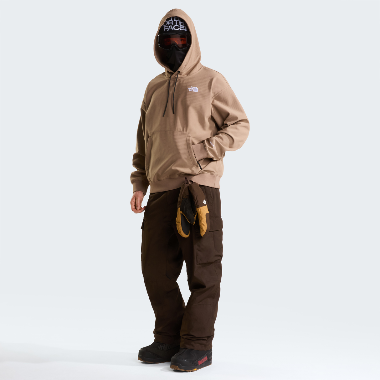 tnf_asset:NF0A8H2E2H9-ALT1