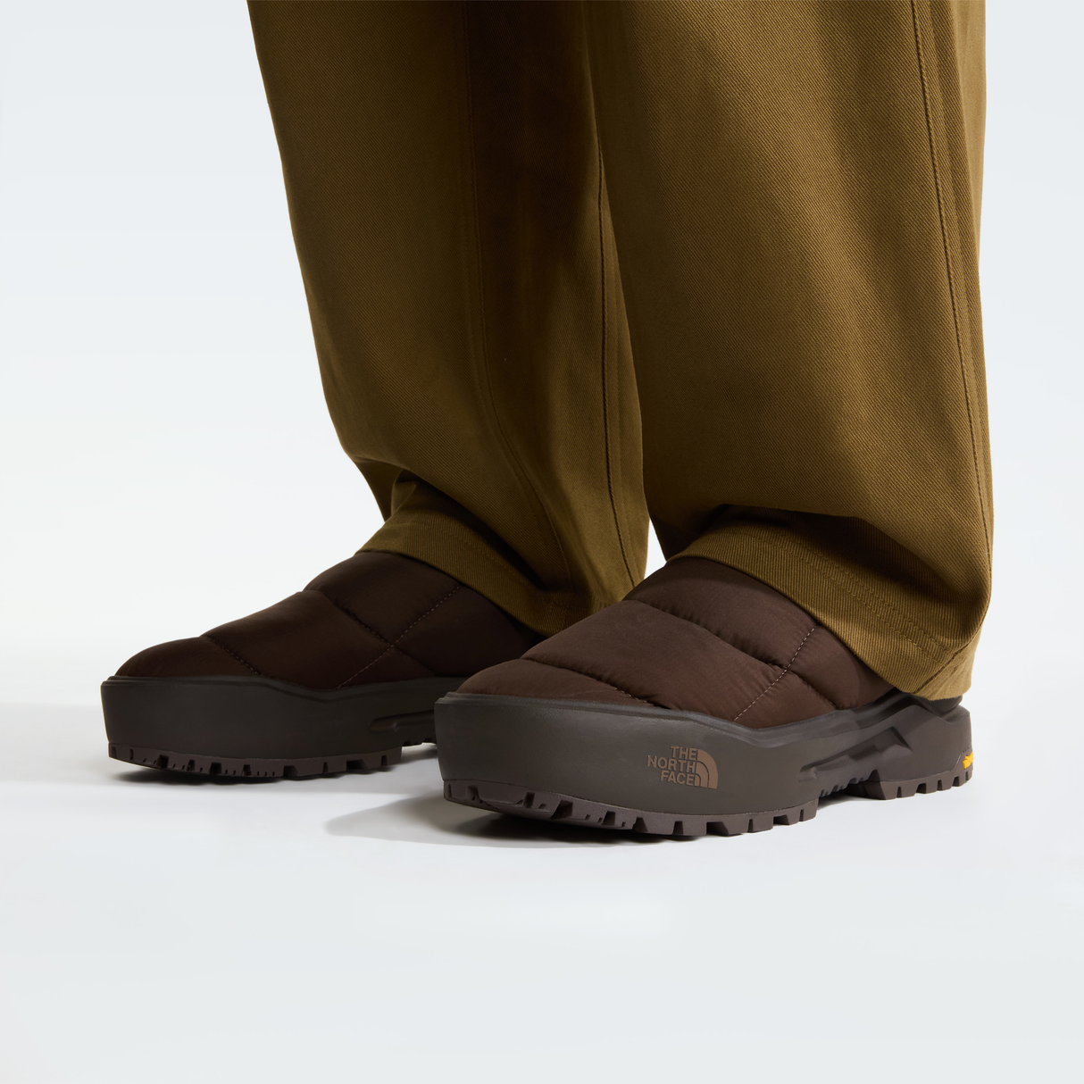 tnf_asset:NF0A8DBUTGQ-ALT2