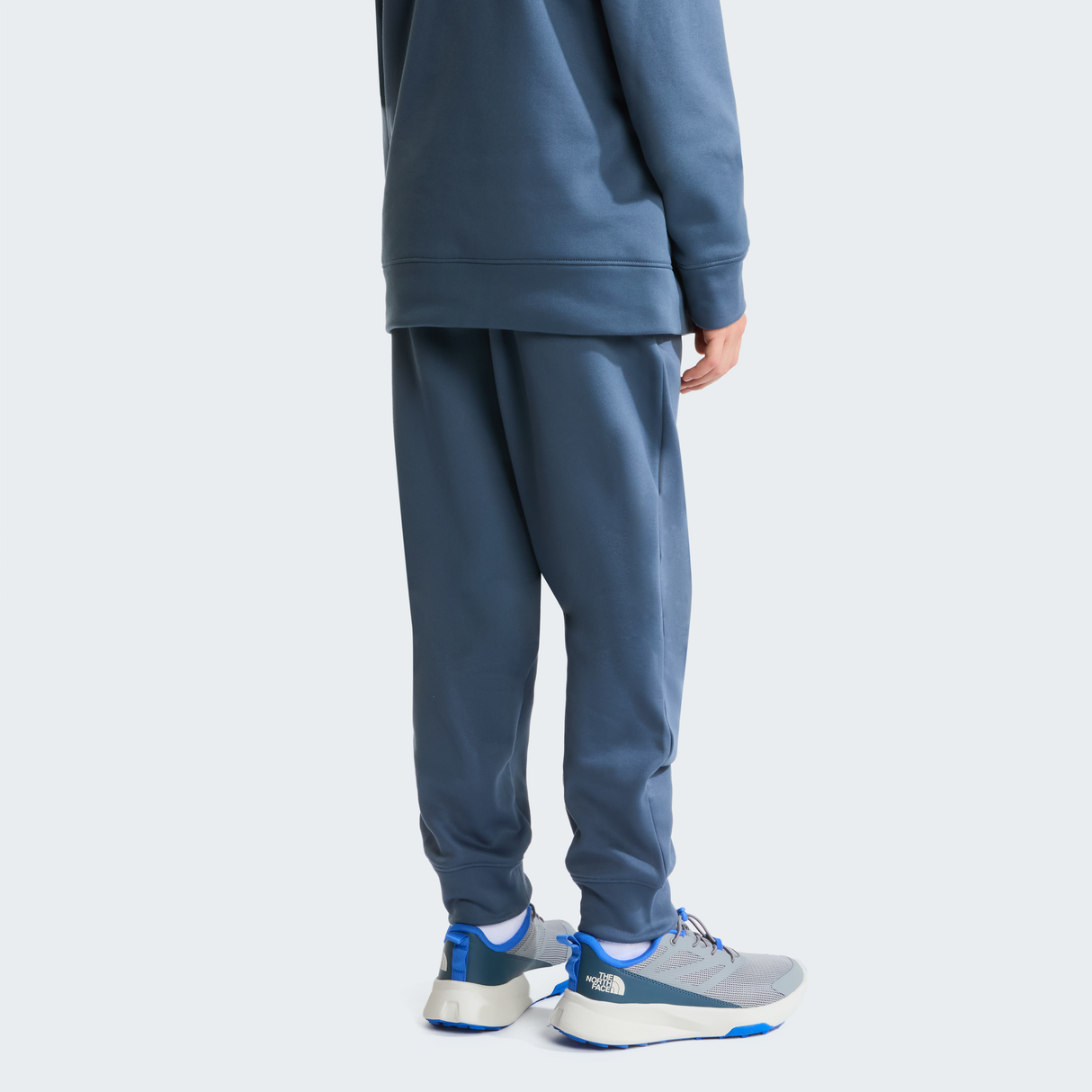 tnf_asset:NF0A8CUY0U3-ALT3