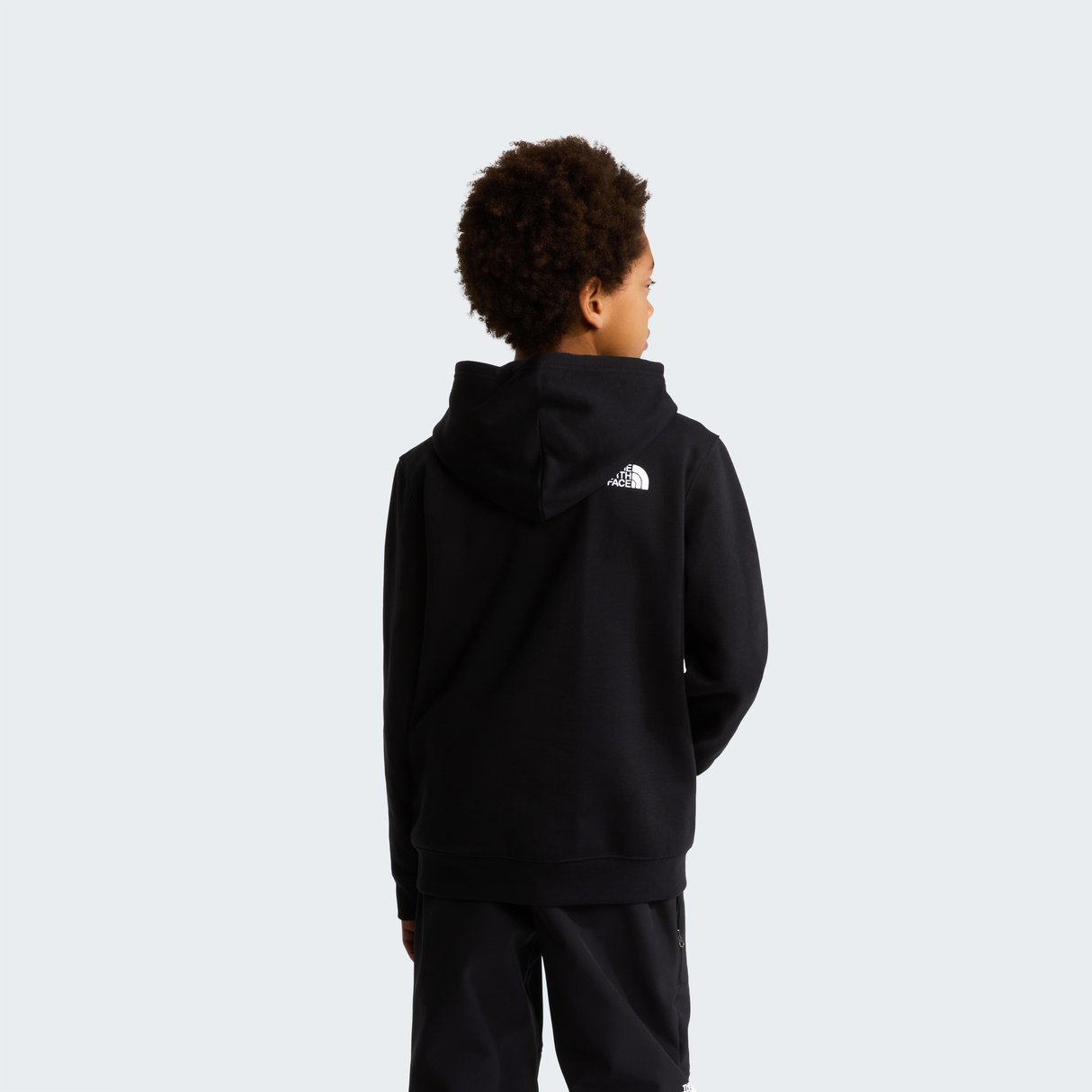 tnf_asset:NF0A8H3YJK3-ALT3