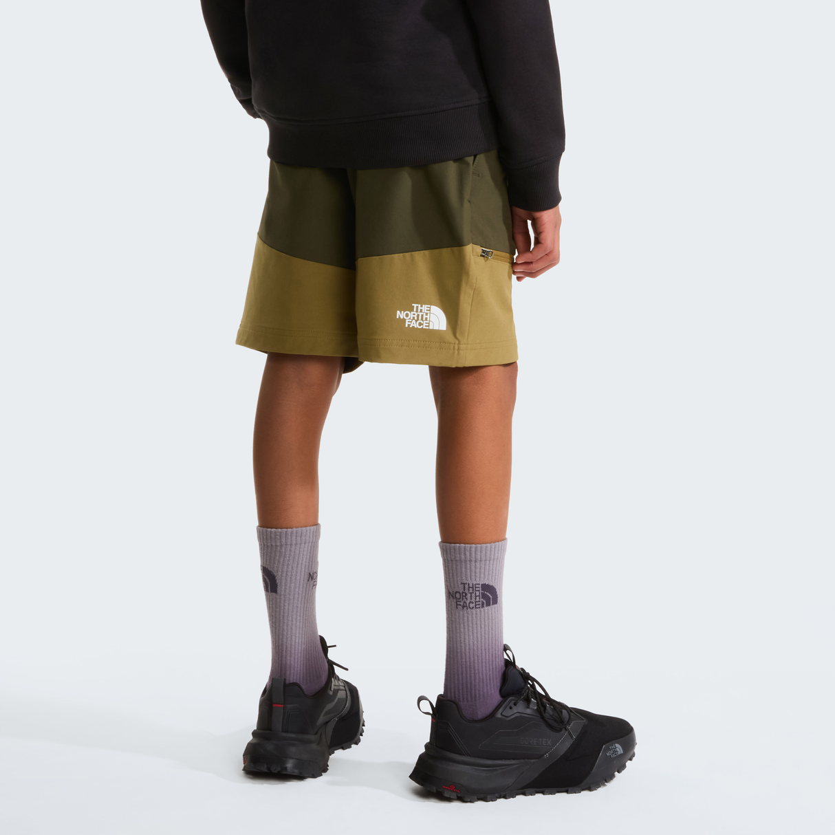 tnf_asset:NF0A8AY2M8J-ALT3