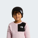 tnf_asset:NF0A8F1JJK3-ALT1