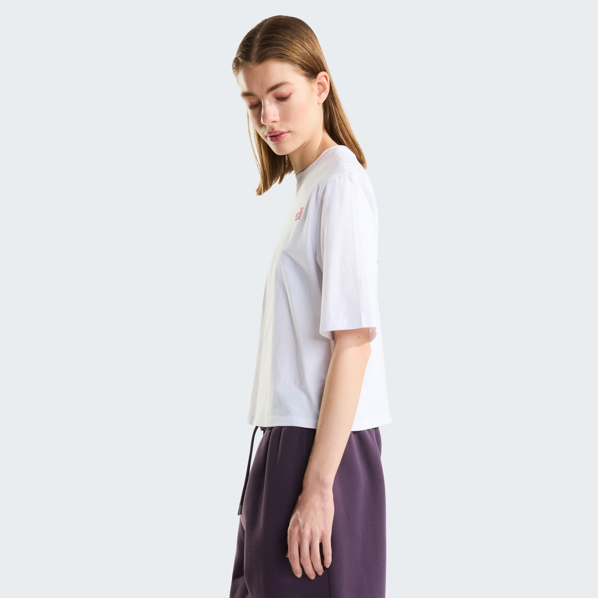 tnf_asset:NF0A8JABFN4-ALT3