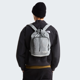 tnf_asset:NF0A8JFXMYB-ALT1