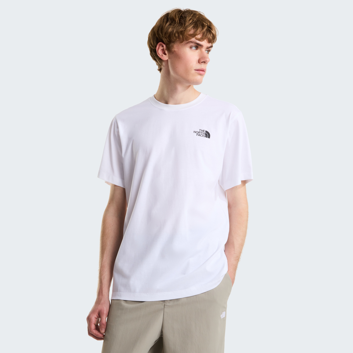 tnf_asset:NF0A8GV1FN4-ALT1