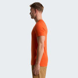 tnf_asset:NF0A87H7G6L-ALT2