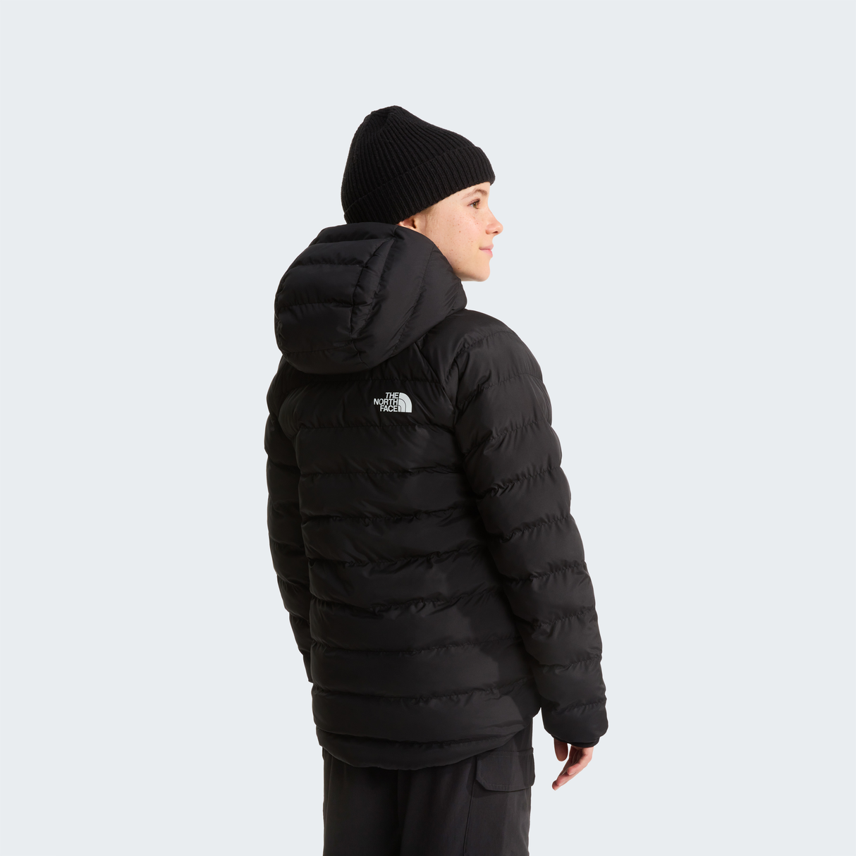 tnf_asset:NF0A88UEWOO-ALT3