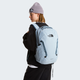 tnf_asset:NF0A3VY2GKP-ALT1