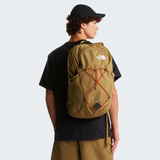 tnf_asset:NF0A3KVCMTY-ALT1