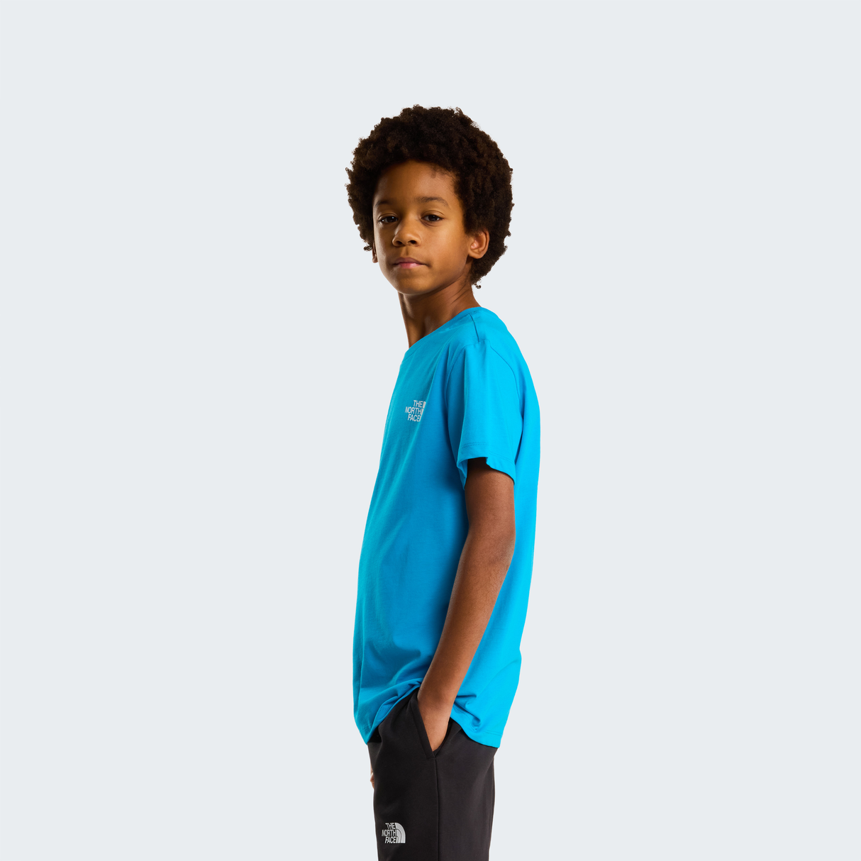 tnf_asset:NF0A8EFND7R-ALT3