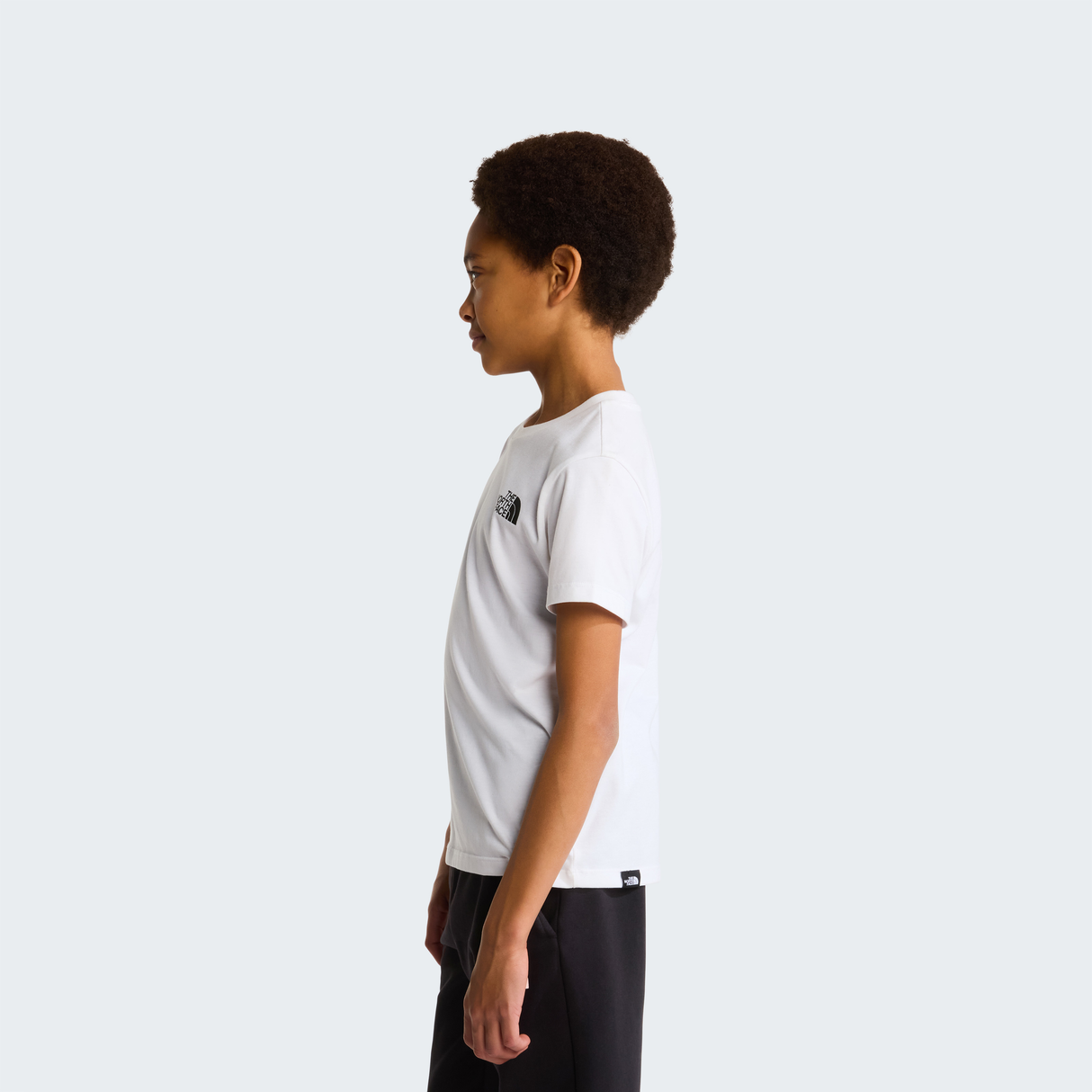tnf_asset:NF0A87T4FN4-ALT2
