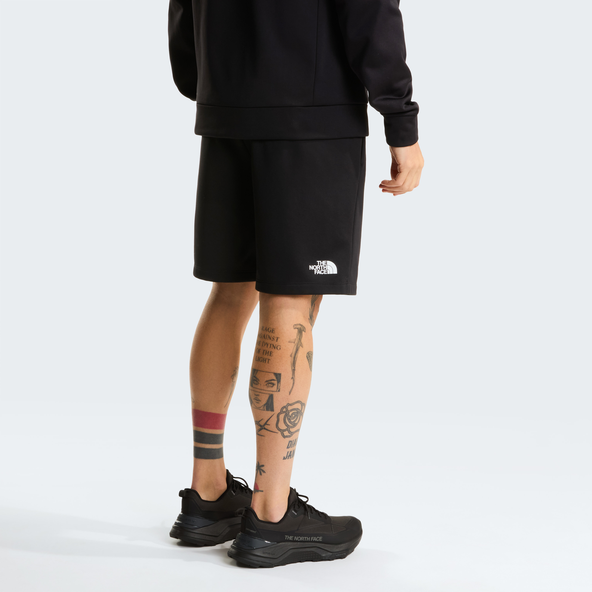 tnf_asset:NF0A8G2BKS7-ALT3