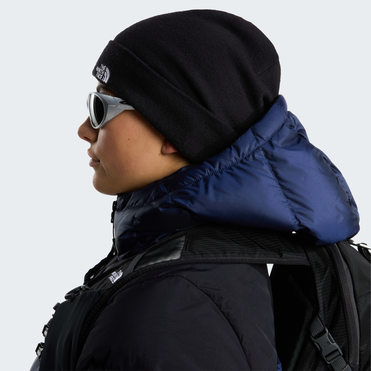tnf_asset:NF0A5FW1JK3-ALT3
