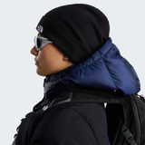 tnf_asset:NF0A5FW1JK3-ALT3