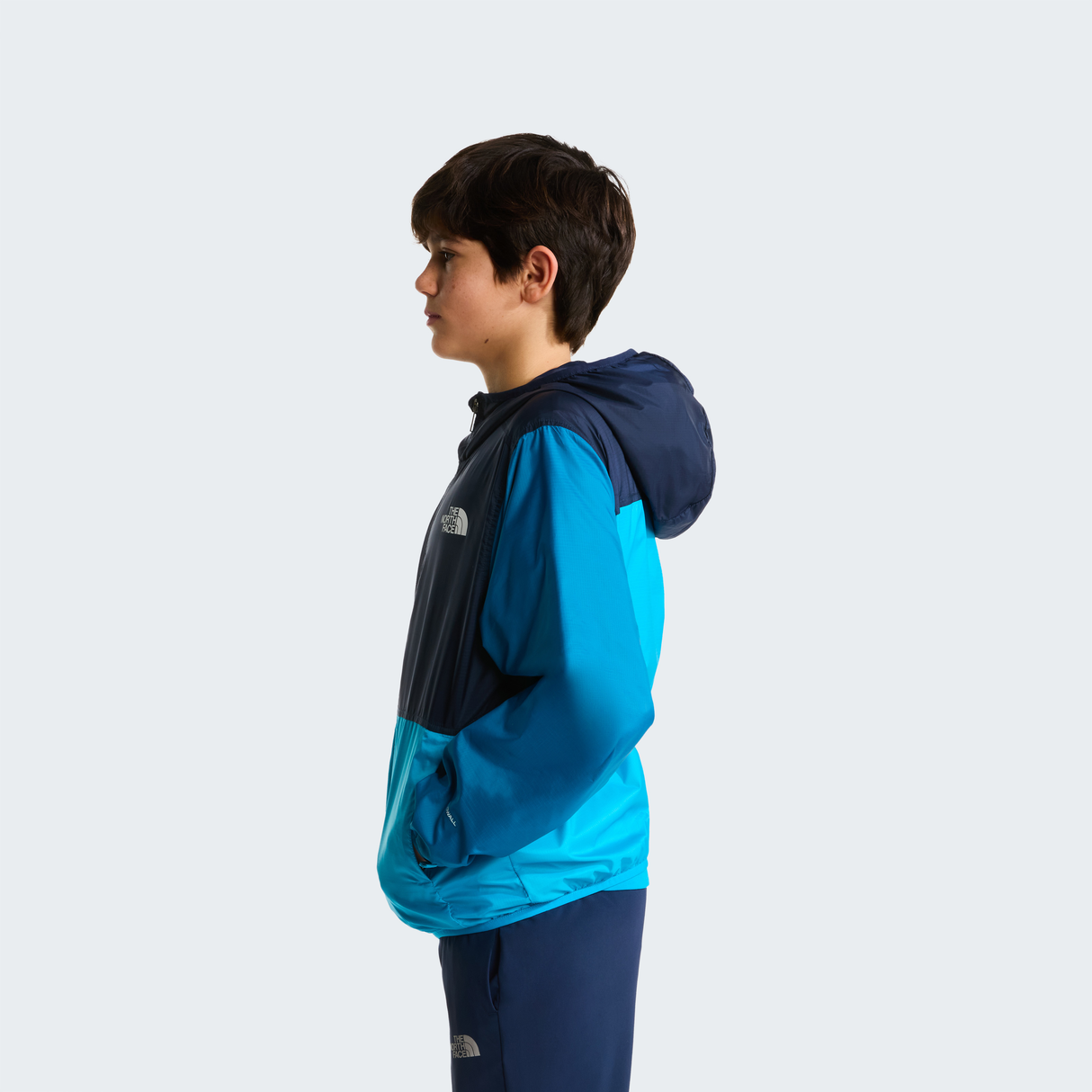 tnf_asset:NF0A8ANMPFC-ALT2