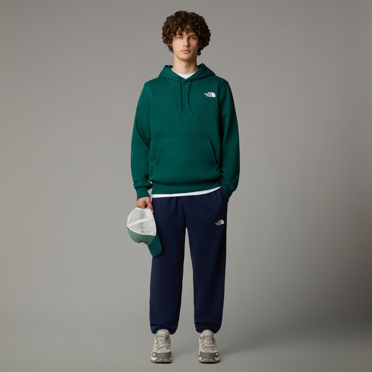 tnf_asset:NF0A8C418K2-ALT1