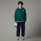 tnf_asset:NF0A8C418K2-ALT1