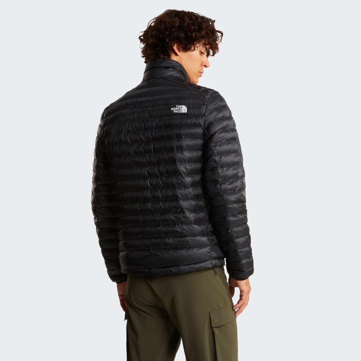 tnf_asset:NF0A85AE4GZ-ALT3
