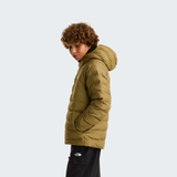 tnf_asset:NF0A88TWJV4-ALT2