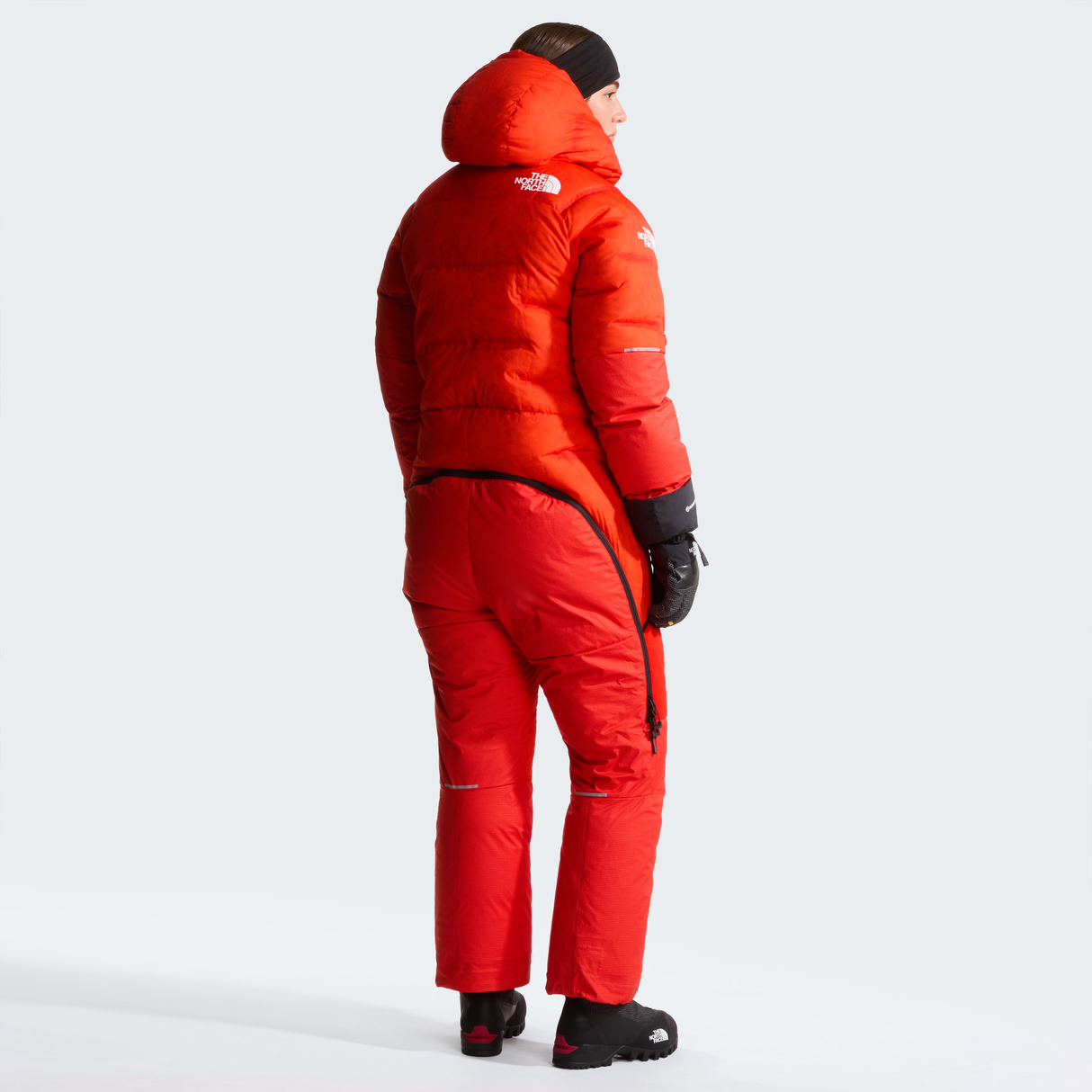 tnf_asset:NF0A8BHA15Q-ALT3