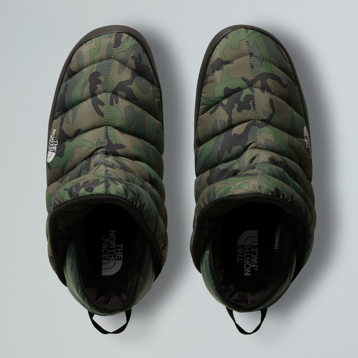 tnf_asset:NF0A3MKH28F-ALT1