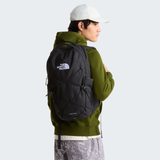 tnf_asset:NF0A3VXF4H0-ALT1