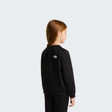 tnf_asset:NF0A8CV0JK3-ALT3