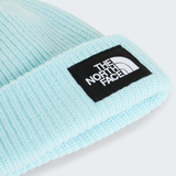tnf_asset:NF0A8CGZNN4-ALT2
